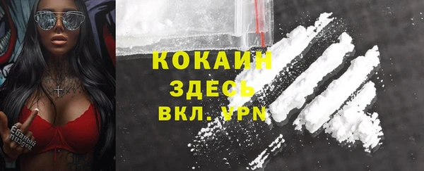 молекула духа Вуктыл